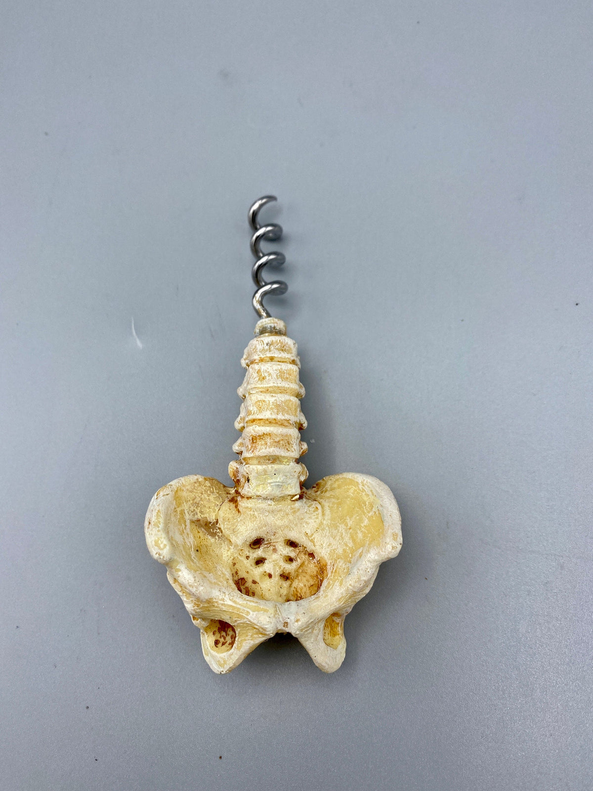 Spine & Pelvis Corkscrew