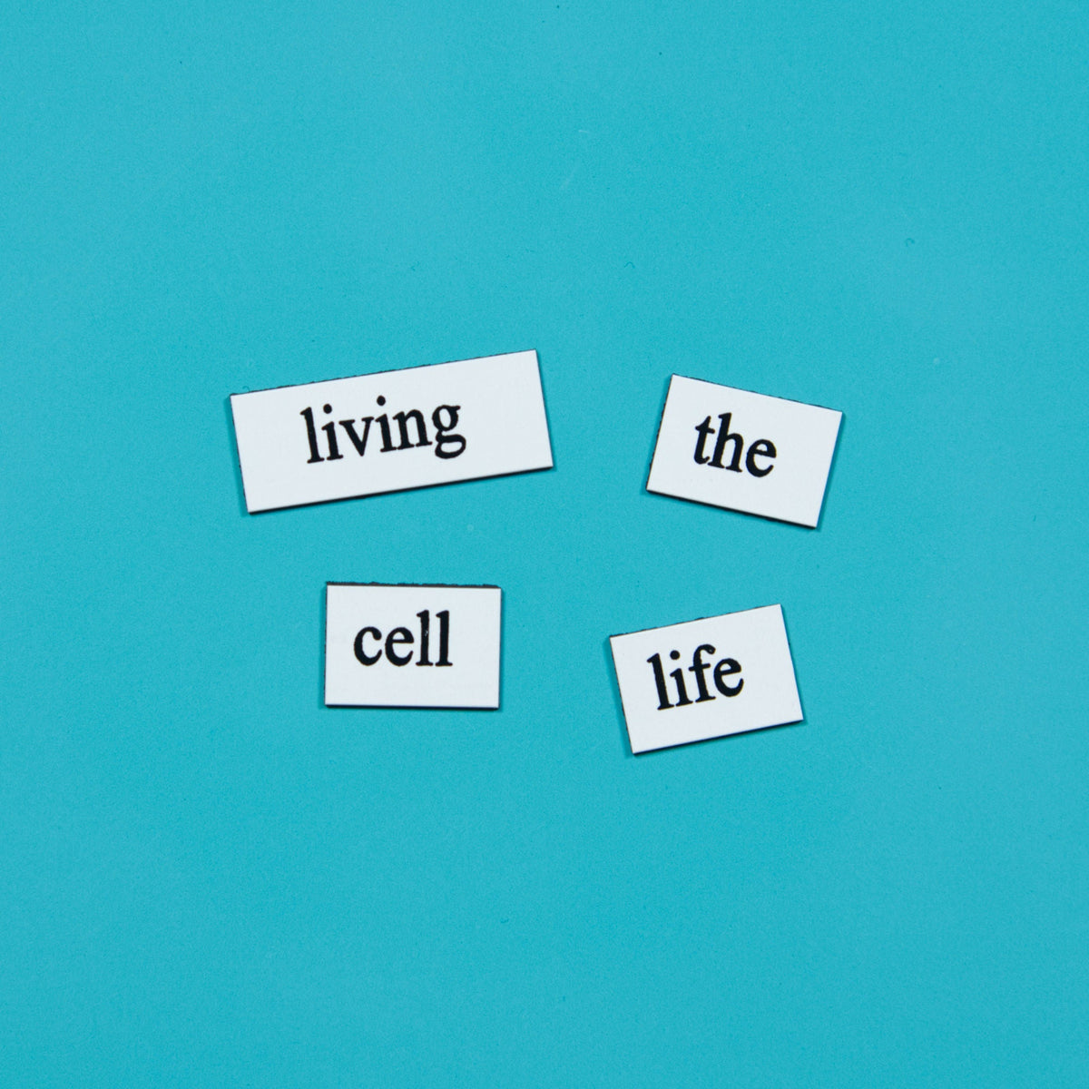 Biology Word Magnets