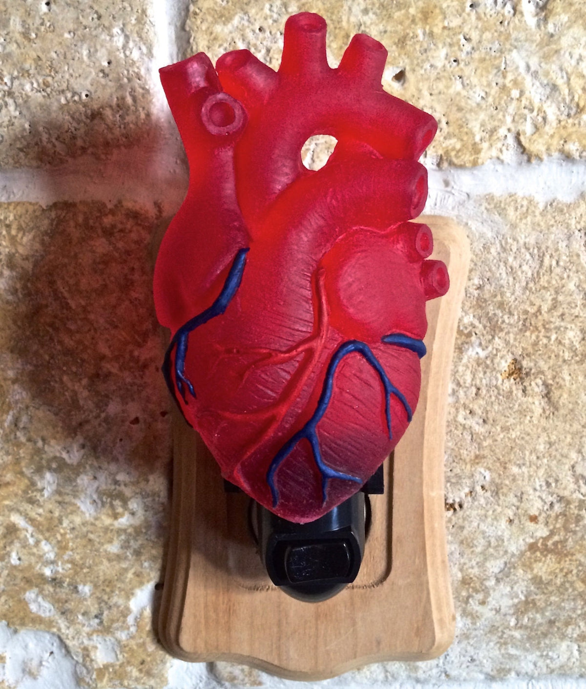Anatomical Heart Nightlight