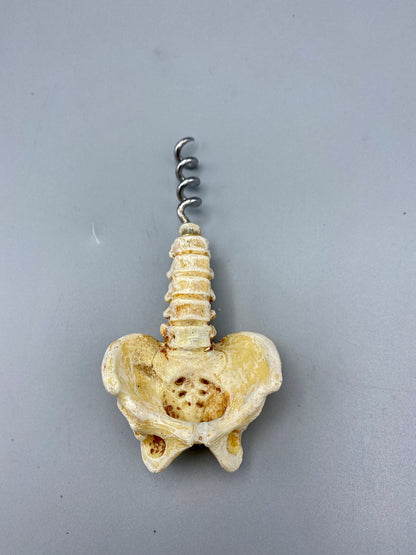 Spine & Pelvis Corkscrew