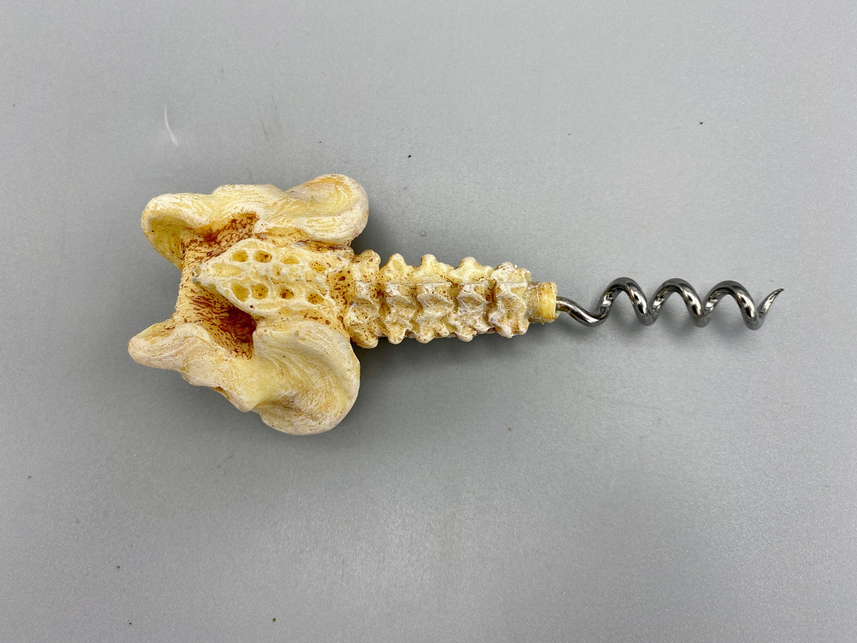 Spine & Pelvis Corkscrew