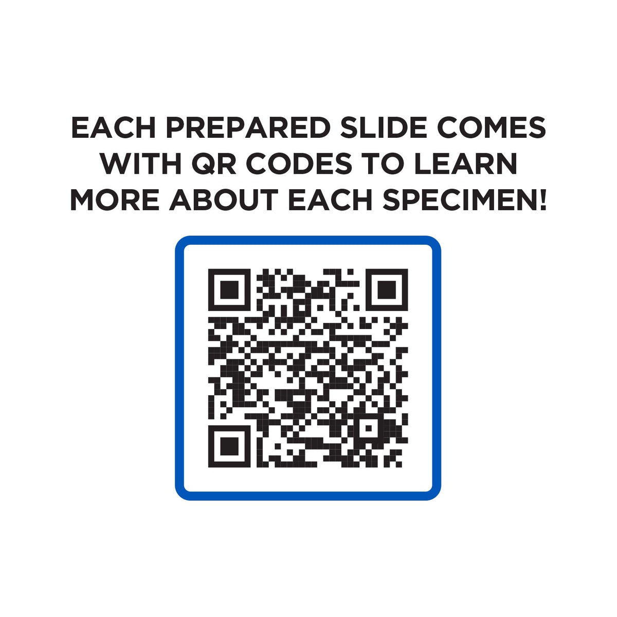 52-Piece Microscope Slide Kit