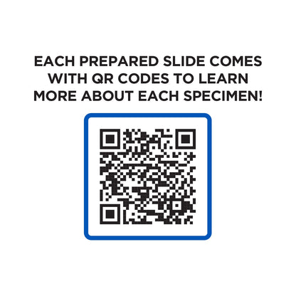 52-Piece Microscope Slide Kit