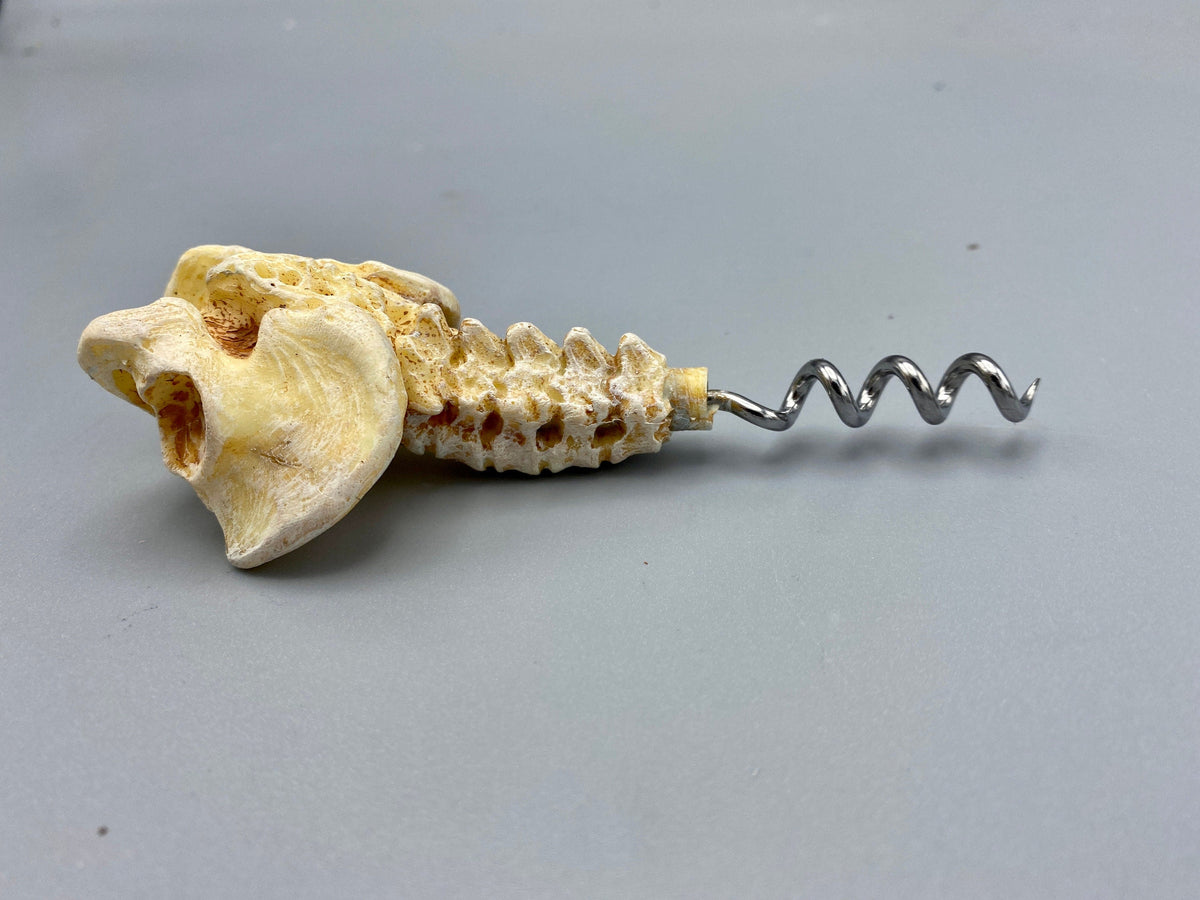 Spine & Pelvis Corkscrew