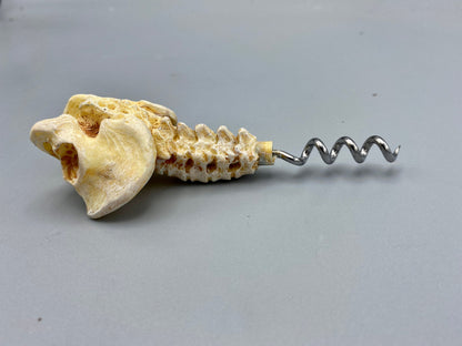 Spine & Pelvis Corkscrew