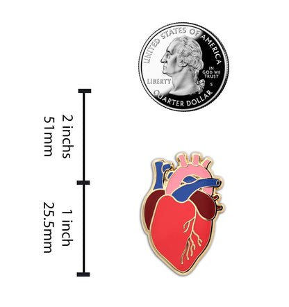 Anatomical Heart Enamel Pin