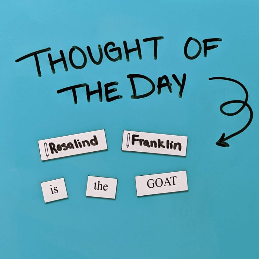 Science Basics Word Magnets