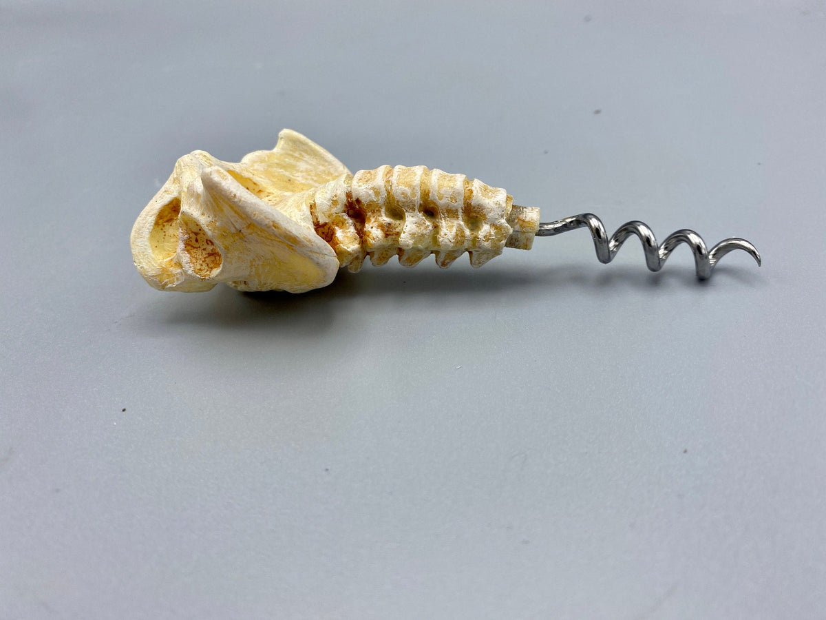 Spine & Pelvis Corkscrew
