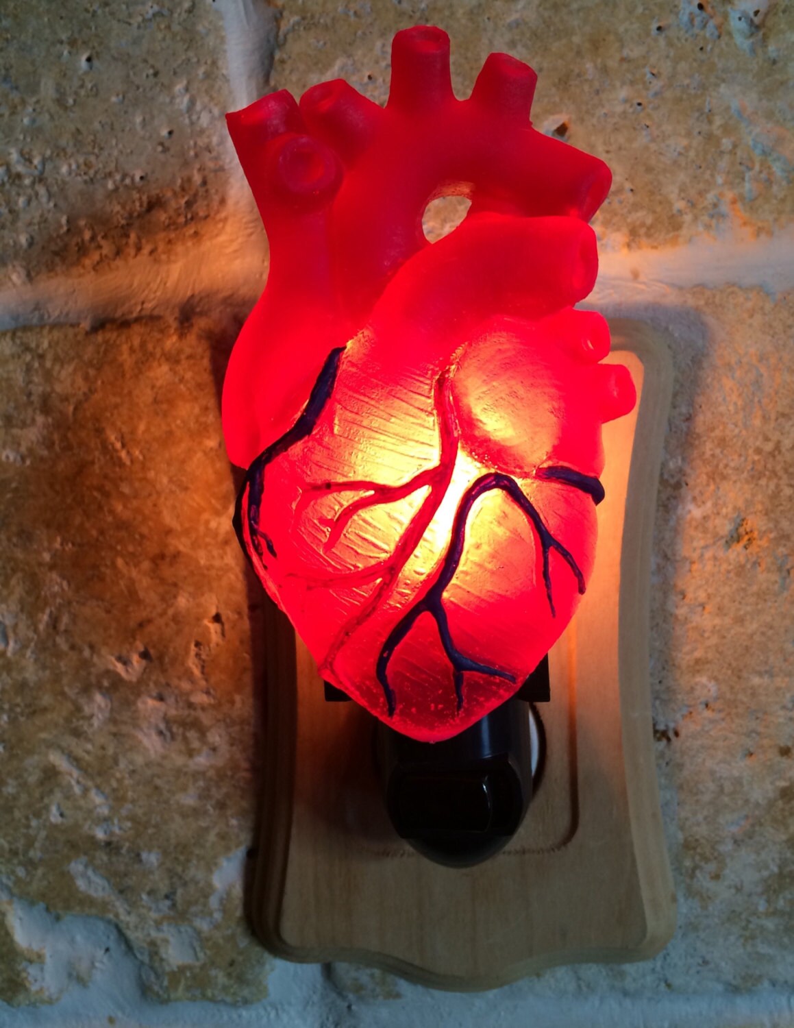 Anatomical Heart Nightlight