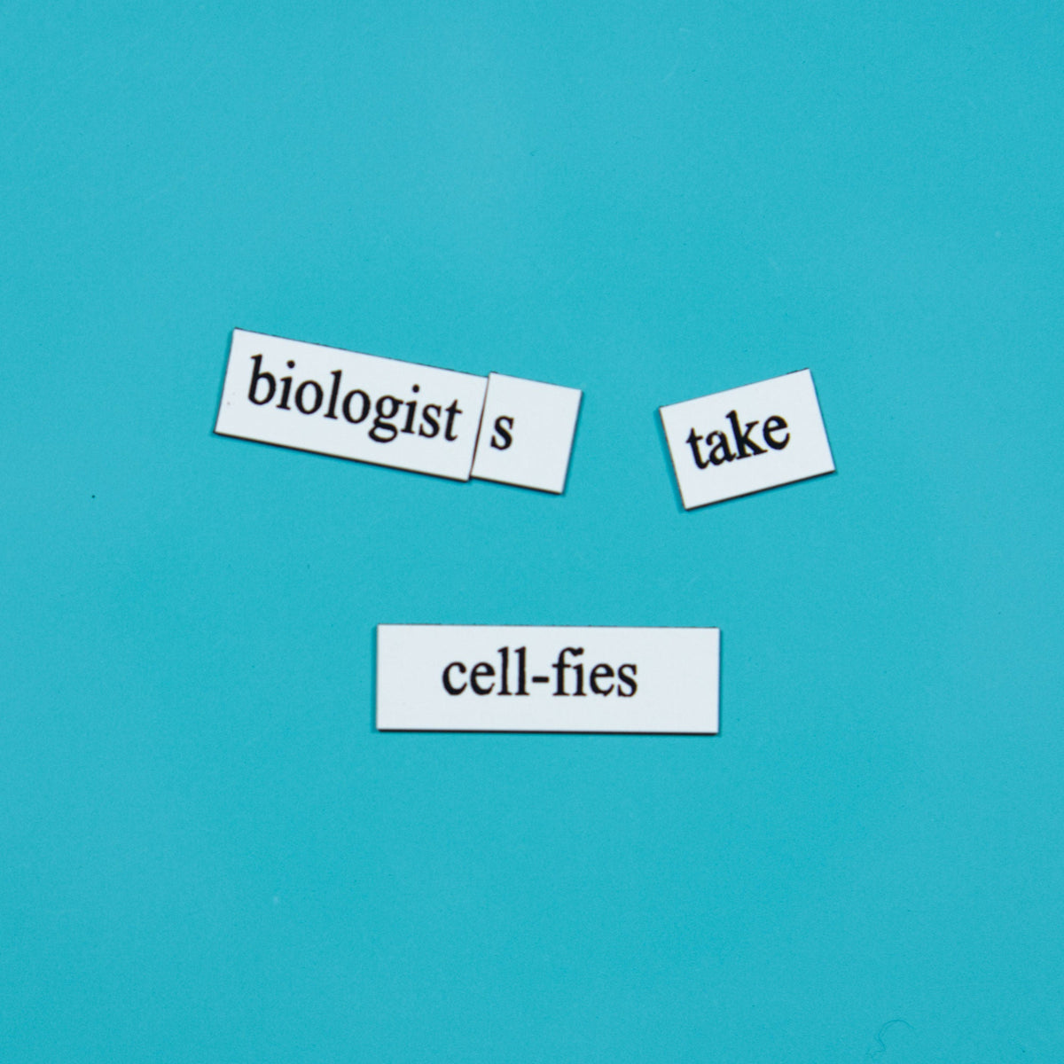 Biology Word Magnets