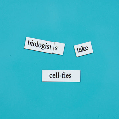 Biology Word Magnets