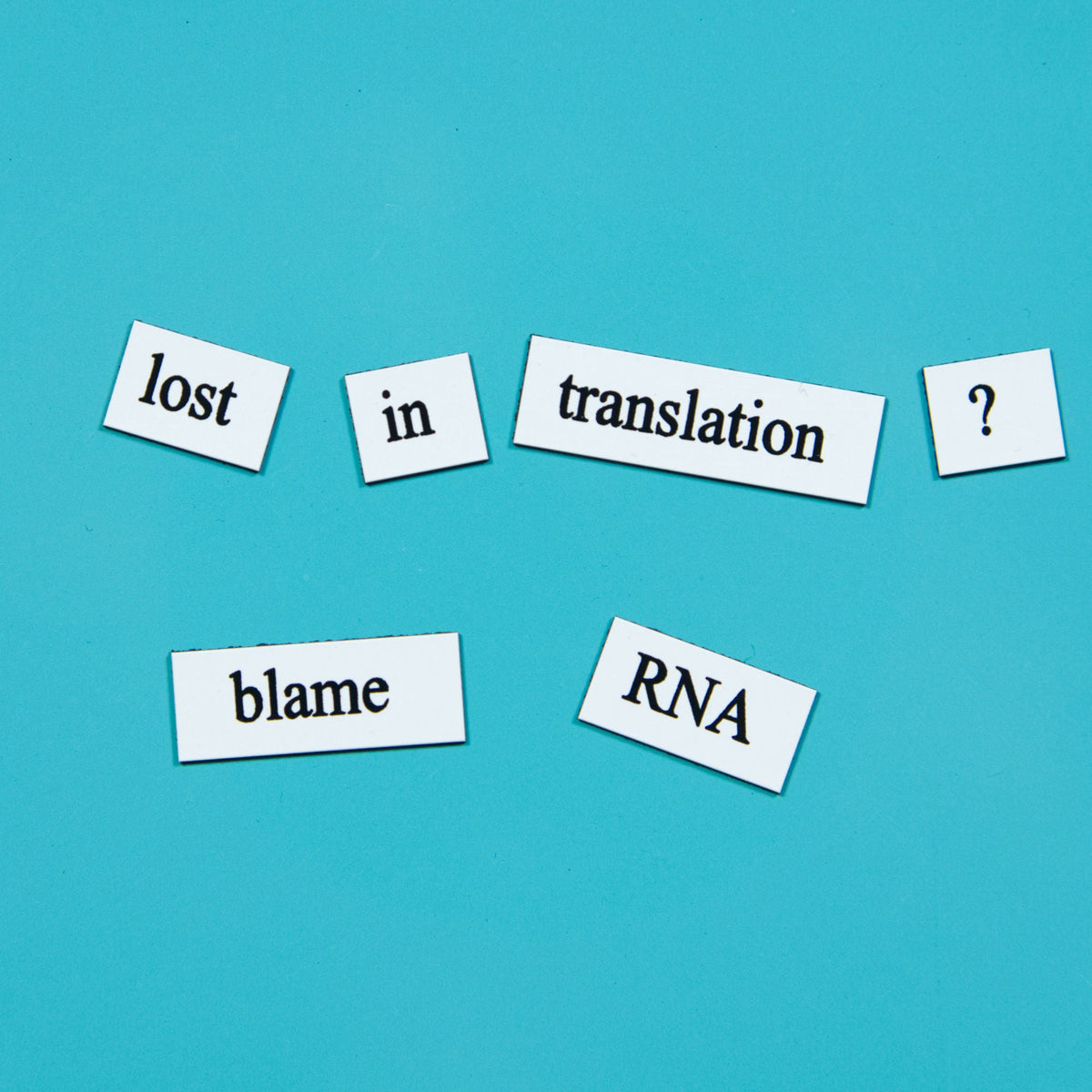 Biology Word Magnets