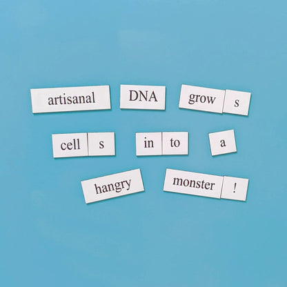 Science Basics Word Magnets