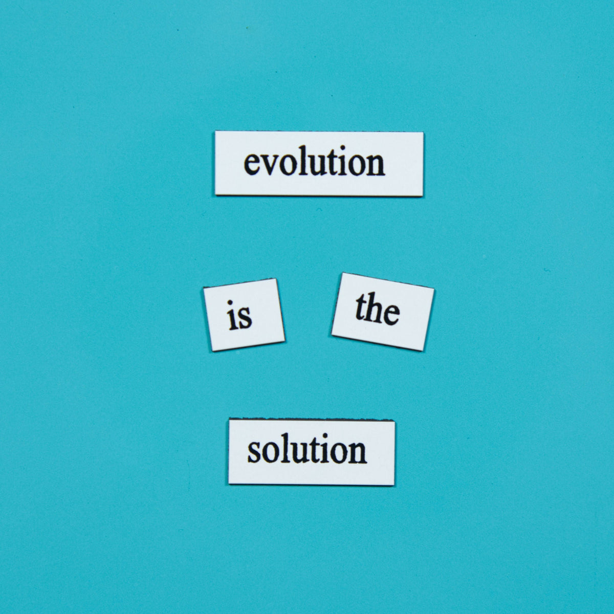Biology Word Magnets
