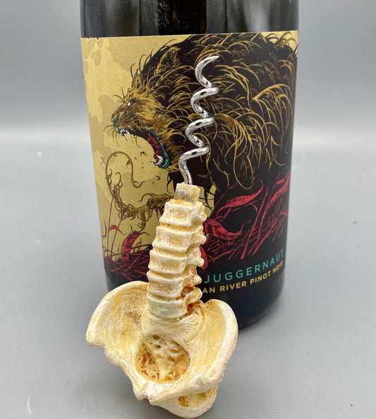 Spine & Pelvis Corkscrew